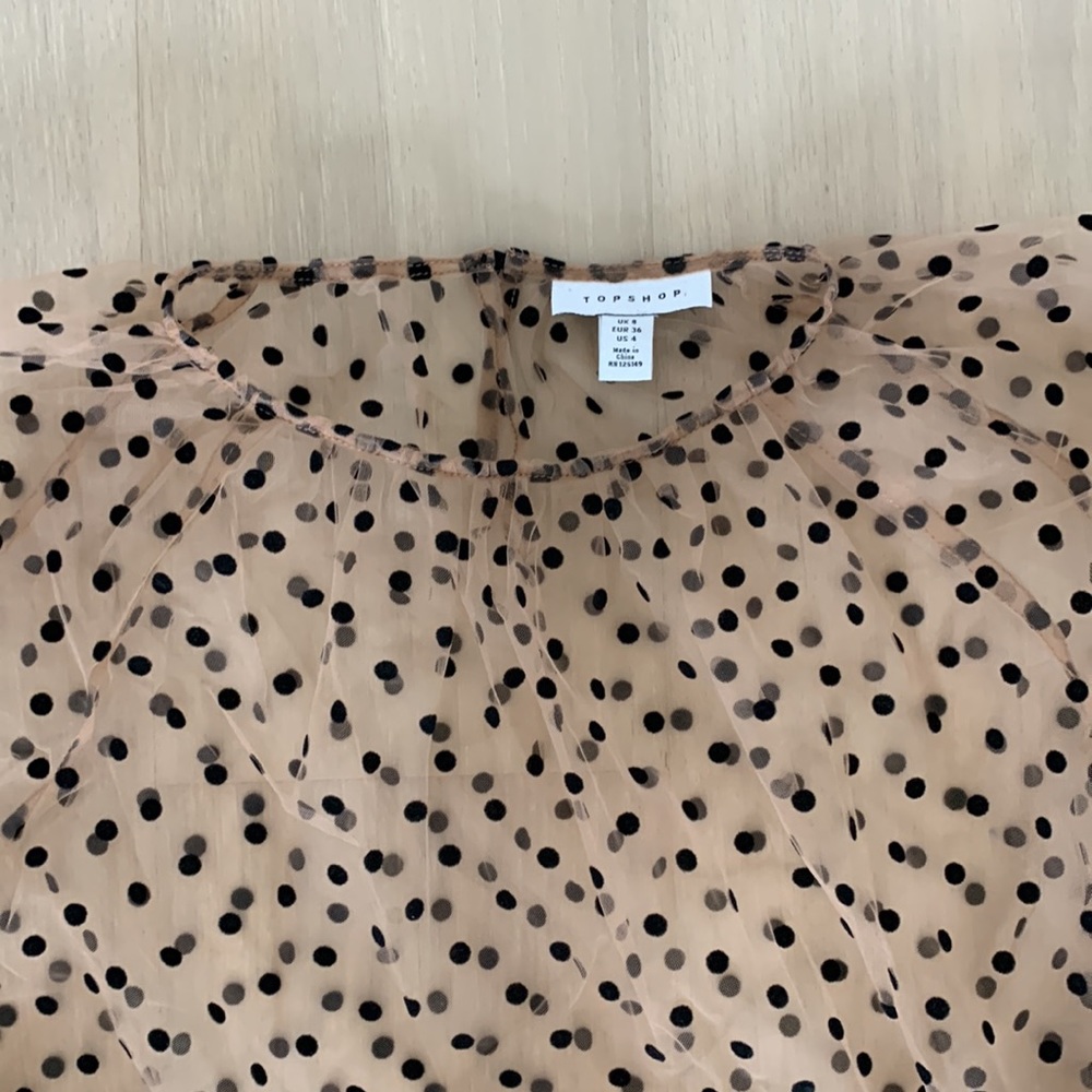 Gauzy Nude Top - Picture 2 of 5